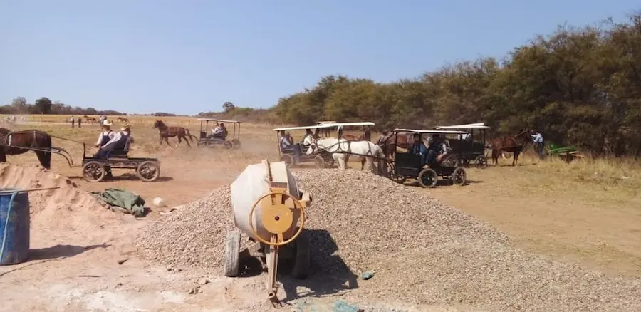 Menonitas ortodoxos en sus buggies para reclamar por la construcción de la escuela